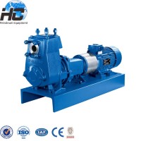 Api H2s Service Crude Oil Transfer Pump Slurry Pump Multiphase Drilling Pump For Oilfield